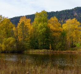 Autumn river landscape with colorful trees reflections