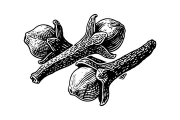Three whole clove buds illustrated in hand-drawn engraving style, isolated on white background. Concept of aromatic spice and herbal medicine