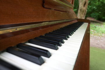 a close up of a piano keyboard with light coming through the keys