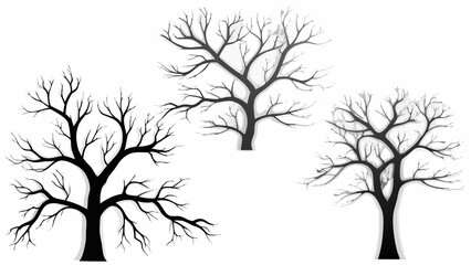 Obraz premium Bare trees on white background for design and decoration
