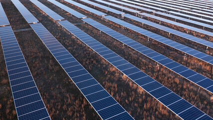 Aerial View of Solar Panel Field Without Horizon