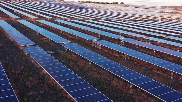 Aerial View of Solar Panel Field Without Horizon