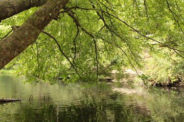 Appalachian Riverbend