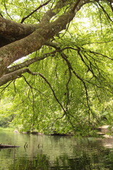 Appalachian Riverbend