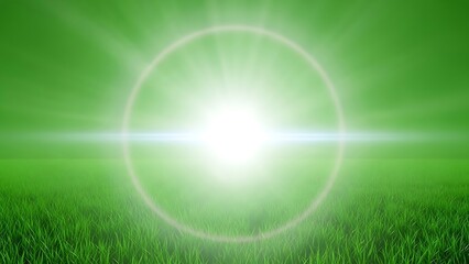 Bright sun over green field