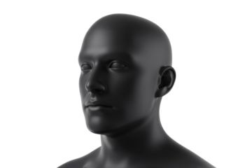 Black male mannequin head and shoulders