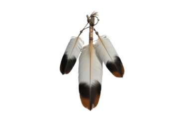 Native American feathers ornament