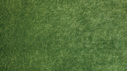 green grass background