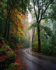 Naklejka premium A winding wet road through a misty autumn forest with orange, red and green leaves. Concept Winding wet road, Misty autumn forest, Orange red green leaves, Moody atmospheric landscape