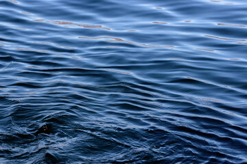 blue water surface