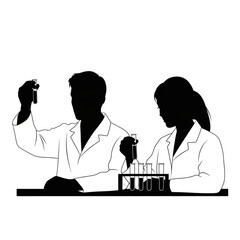 Two scientists working in laboratory Isolated On Transparent Background.