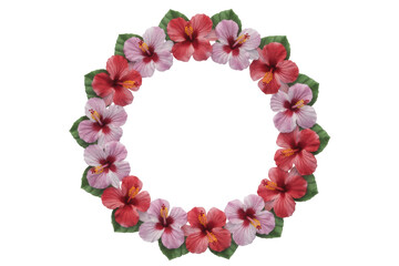 Naklejka premium Hibiscus flower wreath