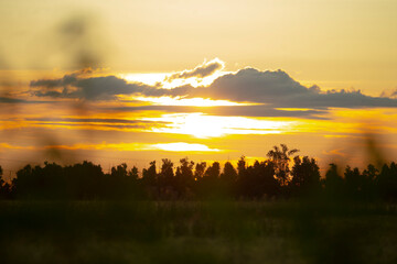 Golden sunset over distant treeline, warm clouds layered above open field, peaceful rural panorama...
