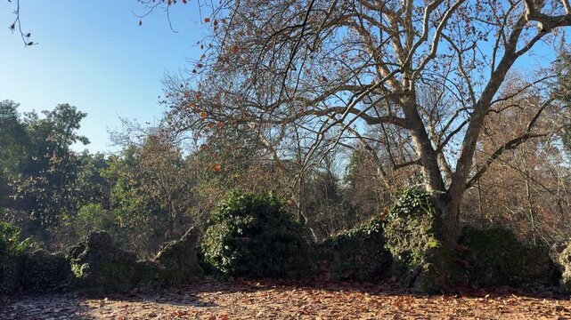 Indro Montanelli Public Gardens in Milan, historic urban park with trees and pathways