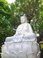 A peaceful religious monument of a seated Buddha surrounded by lush green foliage and tropical forest branches