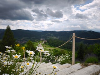 This stunning landscape photograph captures a cluster of vibrant white daisies in sharp focus, set against a backdrop of rolling green hills and misty mountains. The composition features stone stairs