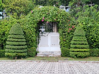 Elegant residential building exterior hidden behind thick tropical vegetation and ivy under a blue sky. Decorative garden with topiary bushes and vintage street lamps in front of a private villa