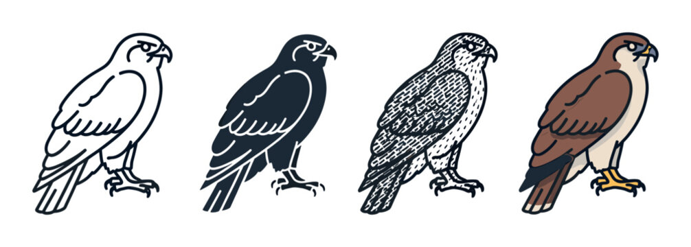 Peregrine falcon vector icon set with four design variations including a simple contour, a dark silhouette, a monochrome hatched drawing, and a colored cartoon style