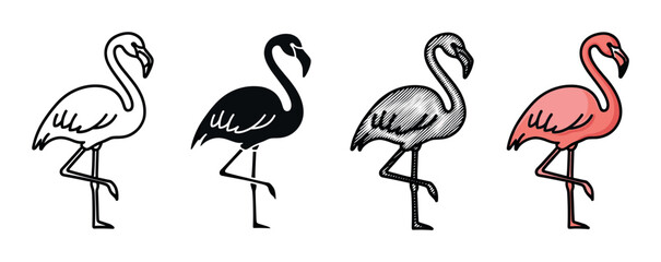 Fototapeta premium Set of four flamingo bird illustrations standing on one leg, presented in various graphic styles including outline, silhouette, engraved hatching, and simple pink color