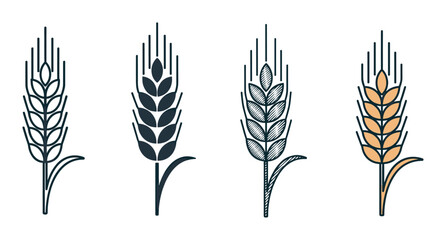 Four stylized wheat ear icons in a set showing different graphic styles like outline, silhouette, engraved hatching, and color for agricultural or food branding