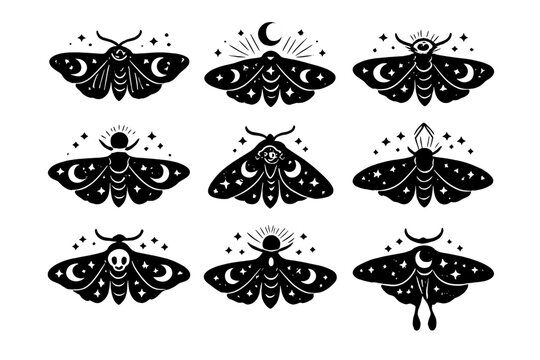 Mystical Moth Illustrations with Celestial Motifs