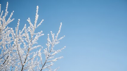 Frosted tree branches against clear blue sky in winter
