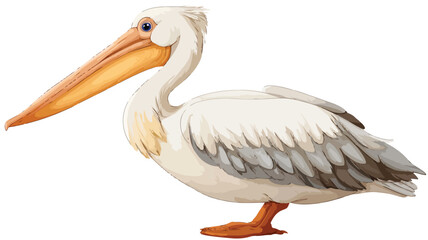 Cute Pelican Bird Cartoon Vector with Outline on White Background