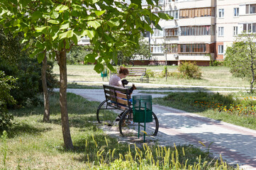 Owner with three dogs sitting on a bench in the summer city park. Friendship of a dogs and a woman