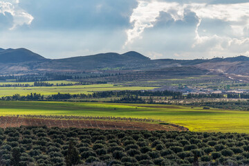 Paysage hivernal en Tunisie