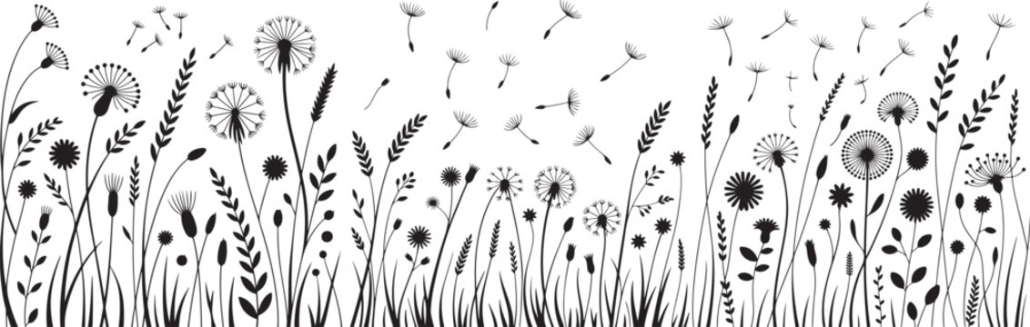 Black and white wildflower field with dandelions and grasses