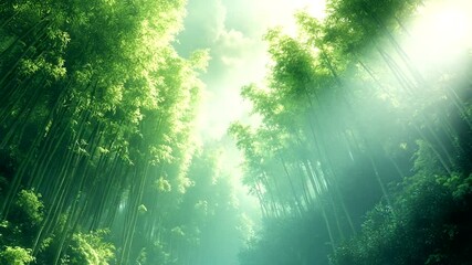 Sunlight filtering through a lush bamboo forest canopy - Powered by Adobe