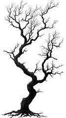 Obraz premium Scary illustration of barren twisted trunk high resolution picture