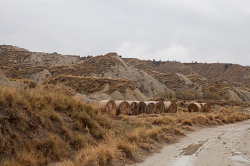 Calanchi are unique "badlands" in Basilicata, Italy, formed by white clay erosion; despite the barren soil, these lands are used for grazing goats and producing hay to feed them.