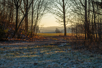 Winter cold afternoon sunset in area of Liberec