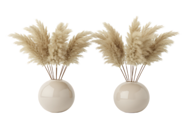 isolated of a beige round pot decorative vase with beige dried grass, on white