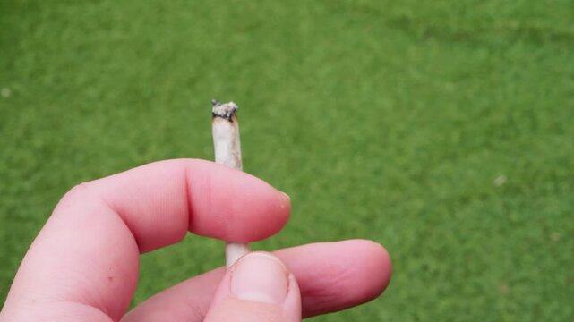 Close up hand holding smoldering hand rolled cigarette against green lawn background. Concept of smoking lifestyle, relaxation moment and outdoor routine