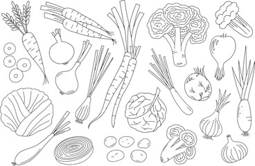 Handdrawn vegetable line art collection for coloring and design projects