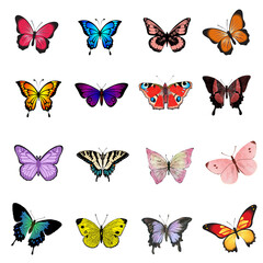 Colorful Butterfly Images in High Quality, Beautiful Butterfly Collection with Artistic Designs Inspired by Nature and Vibrant Colors