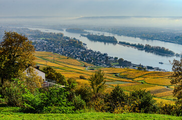 Obraz premium Rüdesheim am Rhein