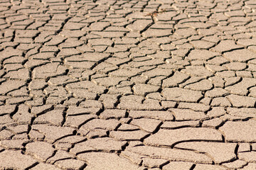 Parched earth
