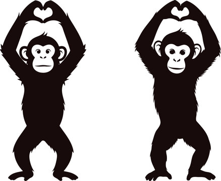 Monkey couple making heart shape, love silhouette, black vector EPS