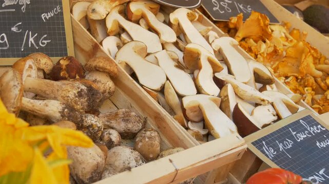 Porcini and Chanterelle Mushrooms on French Market