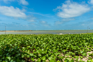 la plage au nord de Sri Lanka