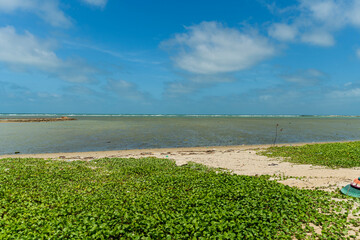la plage au nord de Sri Lanka
