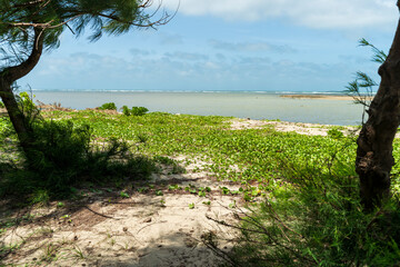 la plage au nord de Sri Lanka