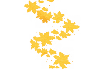 Golden maple foliage scattering and blowing in curved path, creating a vibrant seasonal pattern for fall designs