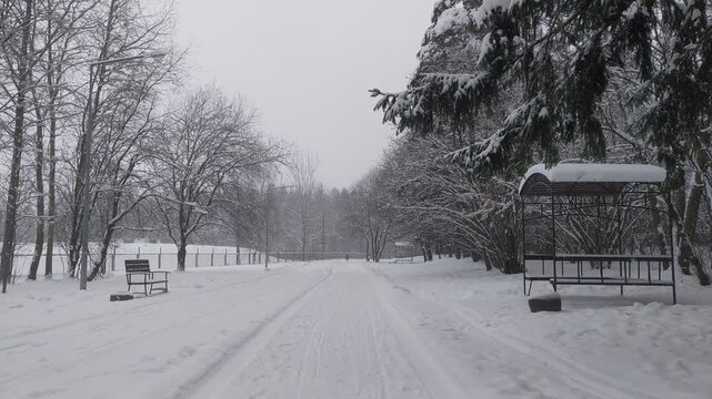 In winter, the ground and tree branches in the city park are covered with snow. A path has been trampled in the snowdrifts next to lampposts, benches and gazebos. Cloudy, frosty weather and gray sky