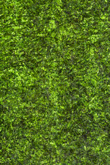 Dried seaweed texture background, top view. Crispy laver nori pattern. Texture of green algae nori.
