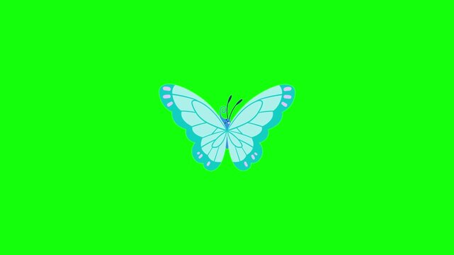 Cute cartoon butterfly animation gently flapping its wings in a smooth rhythmic motion .Clean flat vector style. Seamless looping animation on a solid green chroma key background.
