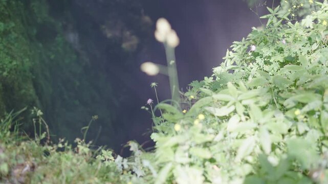 Dramatic light and fog from dark mystic underground cave Devil's Throat (Dyavolsko garlo ) cave in the Rhodope Mountains